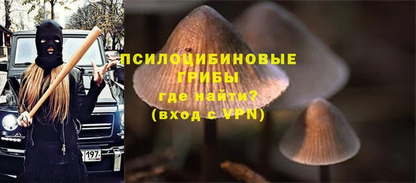 гидропоника Протвино