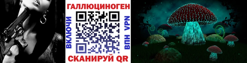 мега как зайти  Лермонтов  Псилоцибиновые грибы Psilocybe 